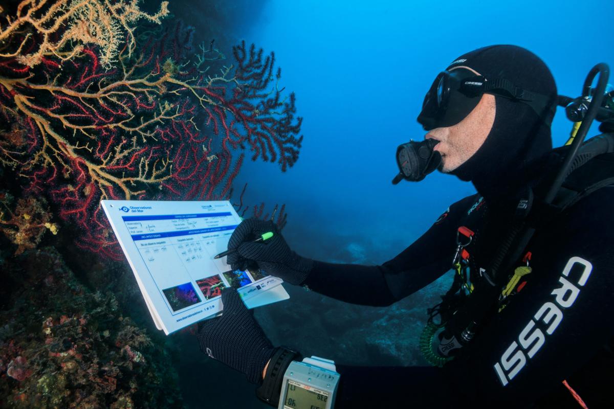 Observadora cientifica realizando o seu traballo