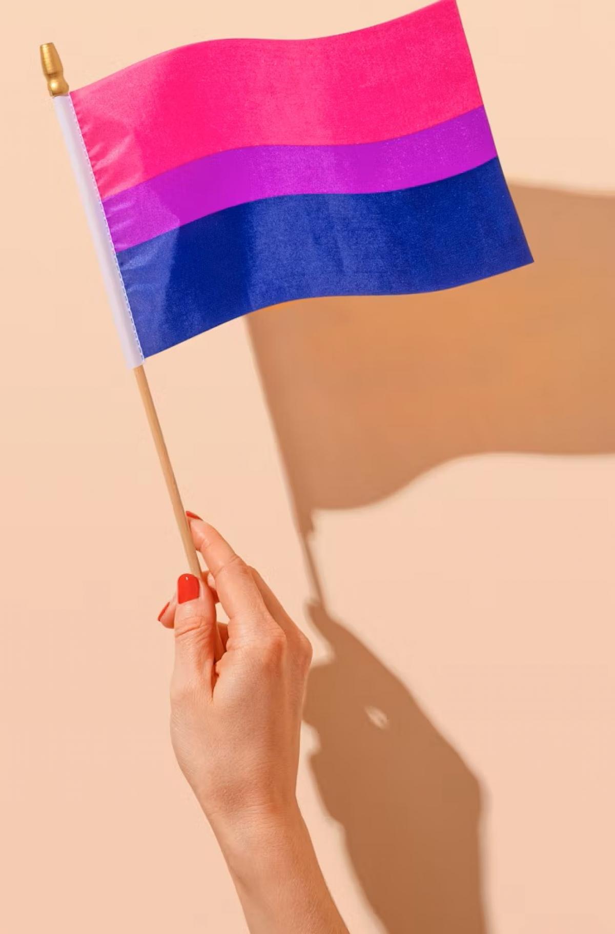 23 de setembro Dia Internacional da Bisexualidade