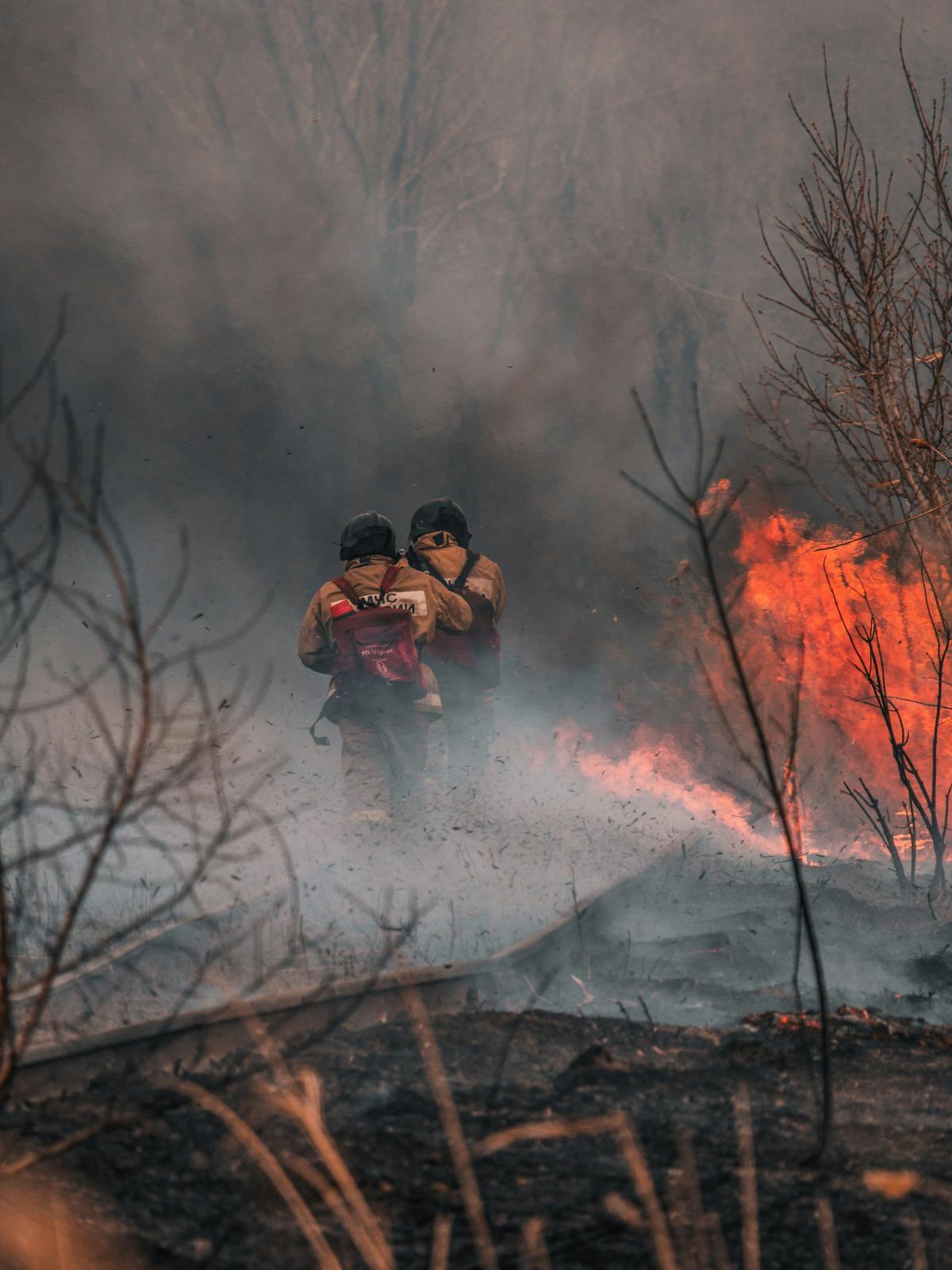 Bombeiras e Bombeiros Forestais
